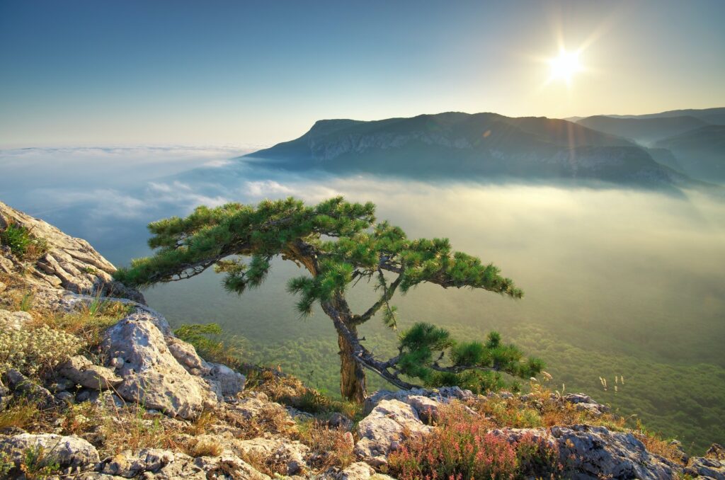 mountain landscape - Nazev mountain landscape - Nazev
